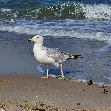 Ankerzeit - Wellnesswohnung In