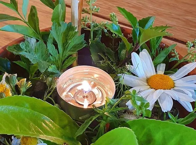 Ankerzeit - Wellnesswohnung In Apartamento