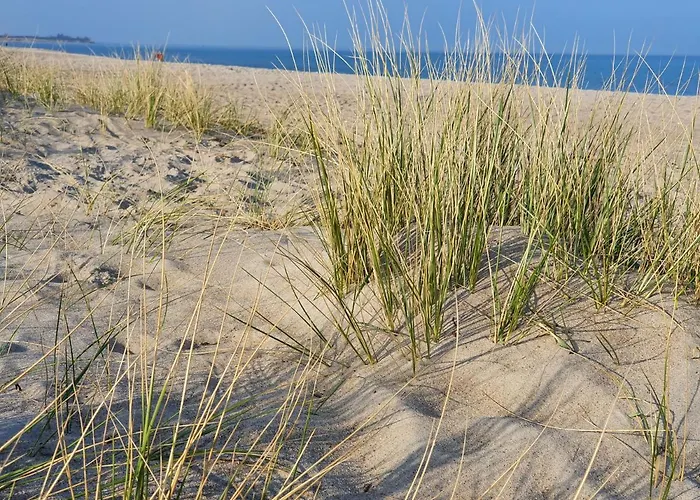 Apartamento Ankerzeit - Wellnesswohnung In *